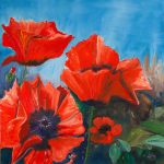 Jac 11 Poppies 09:20