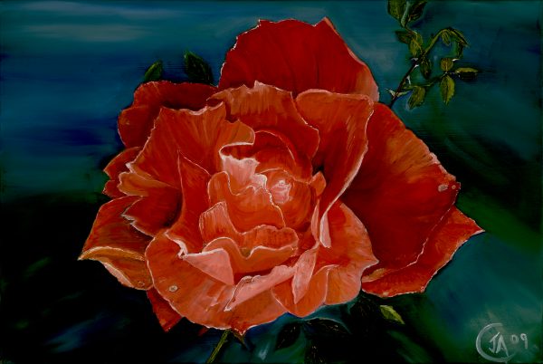 Morning Rose - Original Painting